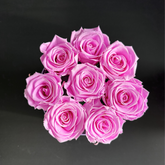 8 Eternity Rose-Last 3 Years